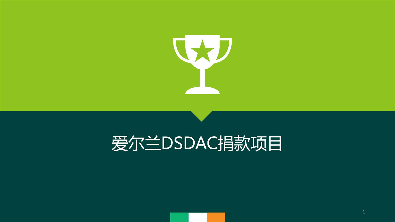 1、愛爾蘭DSDAC團(tuán)捐項目介紹_頁面_01.jpg